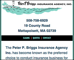 Peter Briggs Insurance responsive site image of Peter Briggs Insurance site